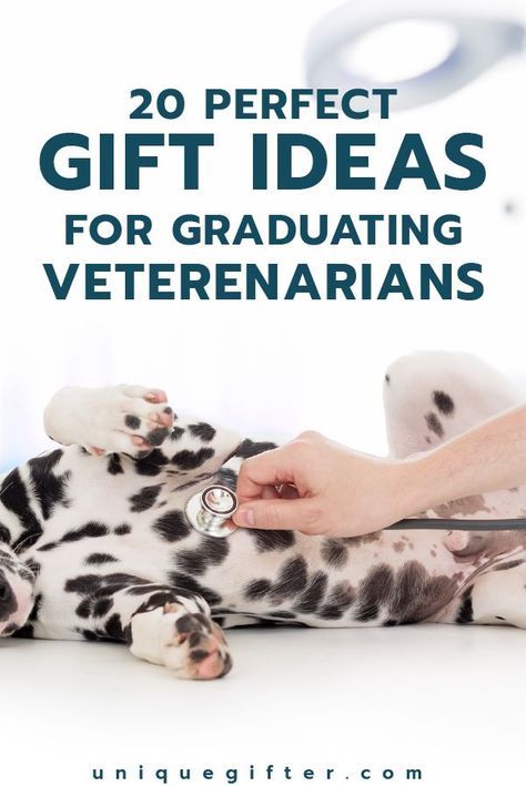 Celebrate a Veterinary Graduation | DVM | Veterinary Graduate | Congratulations | Veterinary School | Vet Grad Veterinary Graduation, Graduation Poster Boards, Veterinarian School, Veterinarian Graduation, White Coat Ceremony Gift, Happy Graduation Day, Becoming A Veterinarian, Veterinary School, White Coat Ceremony