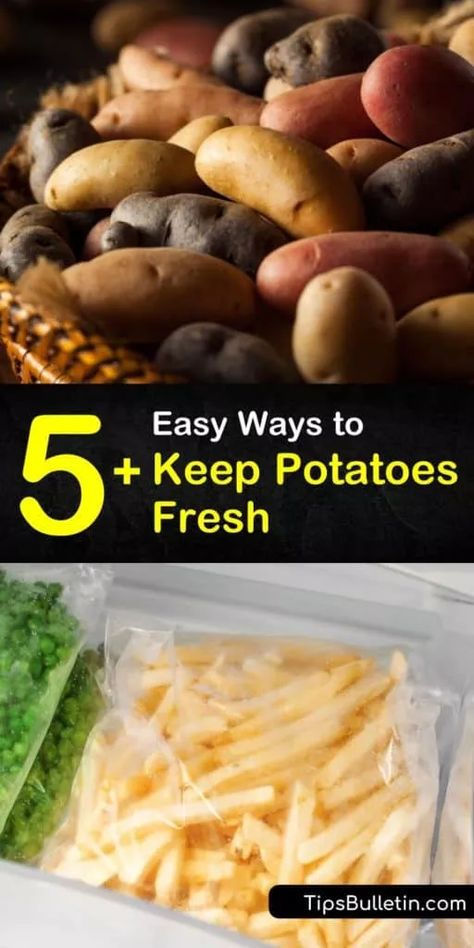 How To Keep Potatoes Fresh How To Store, How To Keep Potatoes Fresh, How To Store Potatoes Long Term, Cheap Eating, Storing Potatoes, Frozen Mashed Potatoes, Growing Vegetables At Home, Fresh Cut Fries, Camping Foods