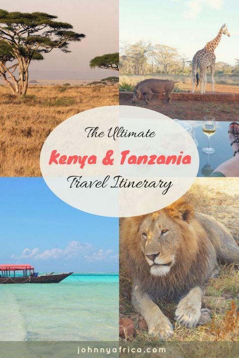 Tanzania Honeymoon, Zanzibar Itinerary, Zanzibar Travel, Bucket List Items, Great Migration, Tanzania Travel, Kenya Travel, The Great Migration, Ultimate Bucket List