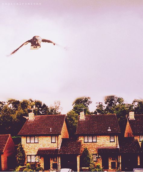 harry potter Privet Drive Aesthetic, 4 Privet Drive, Drive Aesthetic, Star Pics, Potter Wallpaper, You're A Wizard Harry, Welcome To Hogwarts, Expecto Patronum, Harry Potter Always