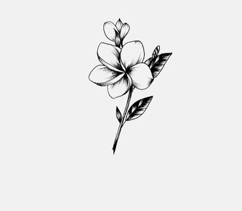 Wavy Flower Tattoo, How To Draw A Frangipani, Frangipani Flower Drawing, Embroidery Practice, Plumeria Flower Tattoos, Frangipani Tattoo, Wine Tattoo, Grace Tattoos, Tattoo Catalog