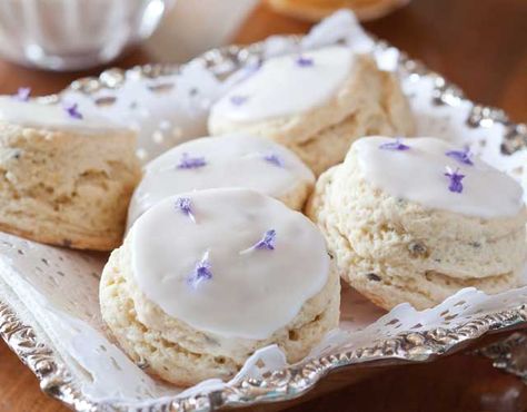 Your guests will feel like royalty when you present these Lavender Cream Scones, garnished with fresh lavender flowers for an air of elegance. Confectioners Sugar Glaze, Cream Scones Recipe, Tea Sandwich, Lavender Cream, Lavender Recipes, Fresh Lavender, Cream Scones, Scone Recipe, Lavender Flowers