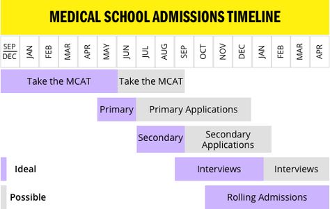 How to Plan Your Medical School Application Timeline – Kaplan Test Prep Med School Application Timeline, Med School Application, Med School Prep, Transition Words For Essays, Persuasive Essay Topics, College Information, School Planning, Mcat Study, Writing Websites