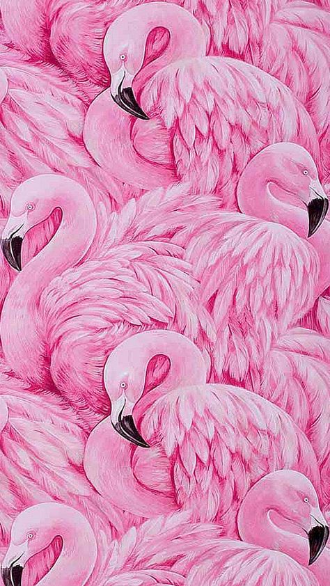 Flamingo Iphone Wallpaper, Textile Pattern Texture, Rose Texture, Flamingo Pictures, Pearl Wallpaper, Pink Glitter Wallpaper, Fancy Flamingo, Flamingo Wallpaper, Flamingo Art