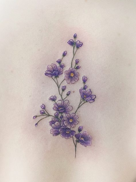 Heliotrope Drawing, Heliotrope Flower Tattoo, Heliotrope Flower Drawing, Phlox Flower Tattoo, Phlox Tattoo, Heliotrope Tattoo, Flower Cluster Tattoo, Heliotrope Flower, Phlox Flowers