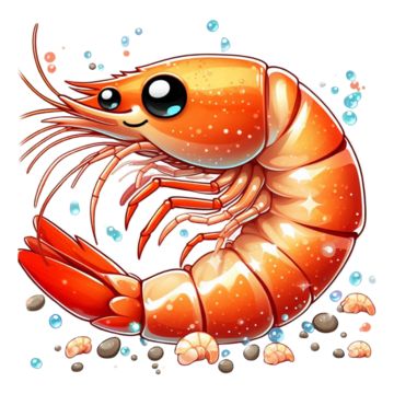 shrimp,prawn art,shrimps,seafood,prawns,aquatic life,aquatic,two small black eyes,eight legs,herbivorous,freshwater shrimp,deep sea shrimp,freshwater prawn,deep sea prawn,herbivores,prawn,grilled prawns,hand drawn prawns,string of shrimp illustration,headless shrimp illustration,river prawn,two prawns,shrimp illustration,seafood prawn illustration,fried prawns,hand drawn shrimp,bunch of shrimp,alpheid,green shrimp,small river shrimp,fresh,aquatic products,red shrimp,small sea prawns,shrimp drawing,shrimp sketch,shrimp prawns,reddish brown,partner,chase,seaweed,swim,creature,eight legs orange right,red and yellow,fish,six legs,cooked,spread out,big pliers,plate lunch,prawn shrimp,amano Shrimp Drawing, Green Shrimp, Fried Prawns, Seafood Art, Freshwater Shrimp, Grilled Prawns, Prawn Shrimp, Plate Lunch, Logo Cloud