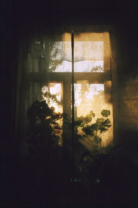 Window View, Through The Window, Open Window, Dark Room, Chiaroscuro, 인물 사진, Dark Background, Morning Light, In The Woods