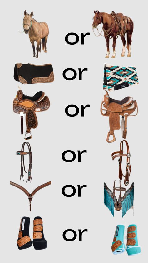 remix this or that #western #country #horse #rodeo #barrel racing Rodeo Horses Barrels, Western Riding Tack, Rodeo Barrel Racing, Barrel Racing Tack Rodeo, Western Horse Riding, Horse Tack Diy, Horse Rodeo, Horse Facts, Western Saddle Pads