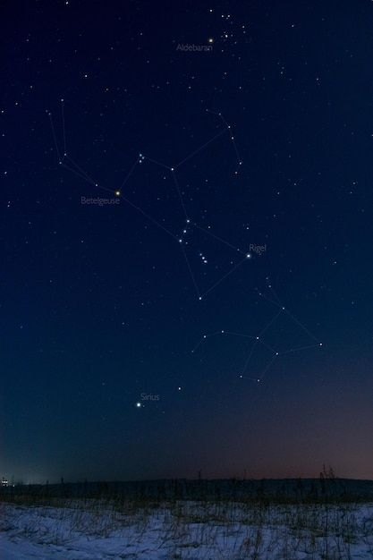 Photo starry night sky constellation ori... | Premium Photo #Freepik #photo #constellation #virgo-constellation #leo-constellation #zodiac-constellation Cosmic Art Universe, Night Sky Constellations, Star Sirius, Constellation Orion, Canis Major, Constellations In The Sky, Capricorn Constellation, Virgo Constellation, Orion Constellation