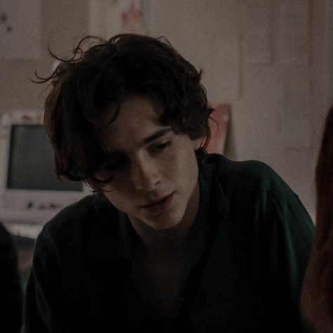 Timothee Chalamet Lady Bird, Ladybird Aesthetic, Harry Potter Painting, Men Hairstyle, Timmy T, Regulus Black, Cedric Diggory, All The Young Dudes, Aesthetic Inspiration