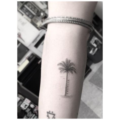 “It better in the Bahamas @zoeisabellakravitz” Bahamas Tattoo, Zoe Kravitz Tattoos, Woo Tattoo, Leopard Print Tattoos, Willow Tree Tattoos, Dr Woo, Small Palm Trees, Palm Tattoos, Palm Tree Tattoo