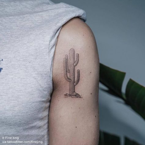 Fine line cactus tattoo, done with tight 3 needles. Line Cactus Tattoo, Healer Tattoo, Desert Tattoo, Cactus Tattoo, Western Tattoos, Delicate Tattoo, Cool Small Tattoos, Tattoo Portfolio, Estilo Hippie