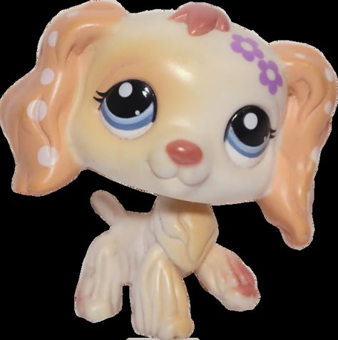 Lps Pfp, Lps Cocker Spaniel, Lps Art, Rare Lps, Cute Lps, Lps Dog, Lps Popular, Custom Lps, Lps Custom