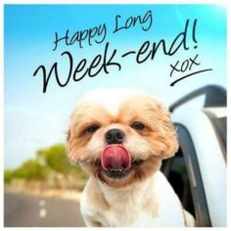 100 Happy Weekend Quotes & Sayings To Share Long Weekend Quotes, Labor Day Quotes, Four Day Weekend, Funny Weekend Quotes, Weekend Greetings, Weekend Images, Happy Long Weekend, Three Day Weekend, Happy Weekend Quotes