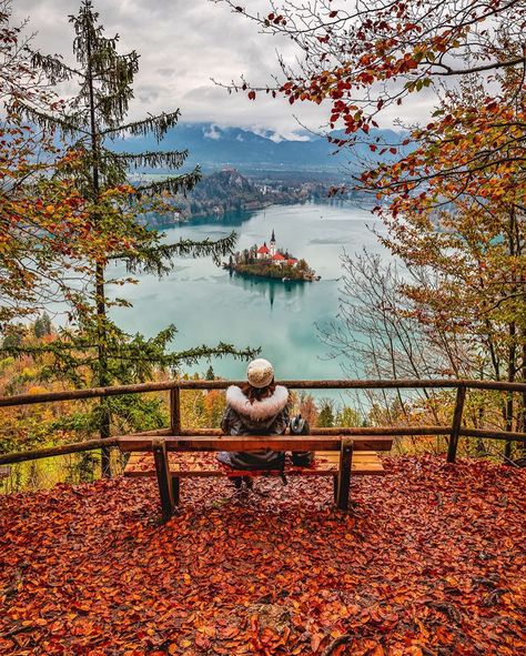 Slovenia Mountains, Fairytale Locations, Slovenia Photography, Picture Travel, Lake Bled Slovenia, Bled Slovenia, Lake Bled, Alex G, Planet Earth