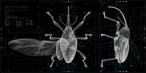 Insects "offer hints for the future of humankind" says Taku Satoh, who co-curated the exhibition Insects: Models for Design at 21 21 Design Sight in Tokyo. Beast And Beauty, Hud Elements, Insect Photos, Art A Level, Lily Art, Mobile Ui Patterns, Insect Wings, Ui Patterns, Nothing Phone