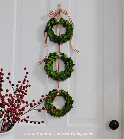 Christmas Boxwood Wreath door hanging via Town and Country Living Christmas Boxwood, Boxwood Wreath Christmas, Christmas Present Decoration, Boxwood Wreaths, Diy Christmas Door, Diy Christmas Decor, Christmas Decorations Cheap, Simple Christmas Decor, Boxwood Wreath