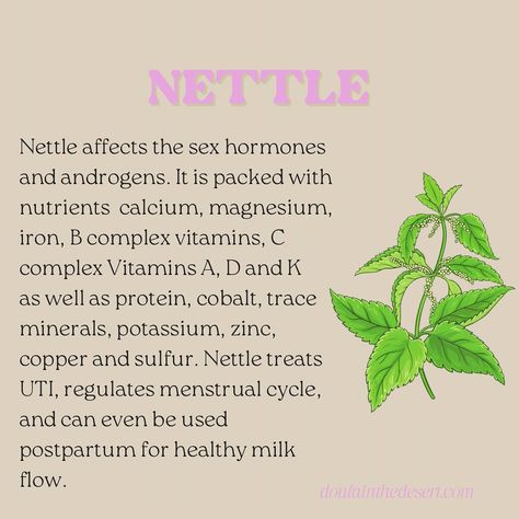 FERTILITY ENHANCING HERBS🌿💜 These are our favorite ally herbs to use individually and together. They are used in our custom herbal blends, depending on what your feminine wellness goals are and which herbs will work best for your unique journey. What are your favorite herbs🌿 ? Grab a custom herbal blend for consuming or Yoni steam at doulainthedesert.con/store or Comment HERBS for direct link🌙 . . . . . . . . #herbs #doula #doulasupport #yoniteablend #yonisteam #fertility #infertility #c... Herbs For Vag Health, Herbal Birth Control, Herbs For Fertility, Feminine Wellness, V Steam, Optimum Health, Fertility Health, Improve Fertility, Feminine Health