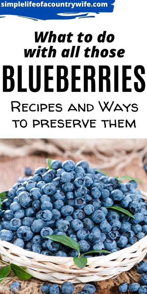 Want to know what you can make during blueberry season? Want to know how to preserve them?  There are so many delicious things to make. Cook Blueberries, Dehydrated Blueberries, Blueberry Preservation, What To Do With Fresh Blueberries, How To Can Blueberries, What Can I Make With Blueberries, How To Preserve Blueberries, Preserve Blueberries, Preserving Blueberries