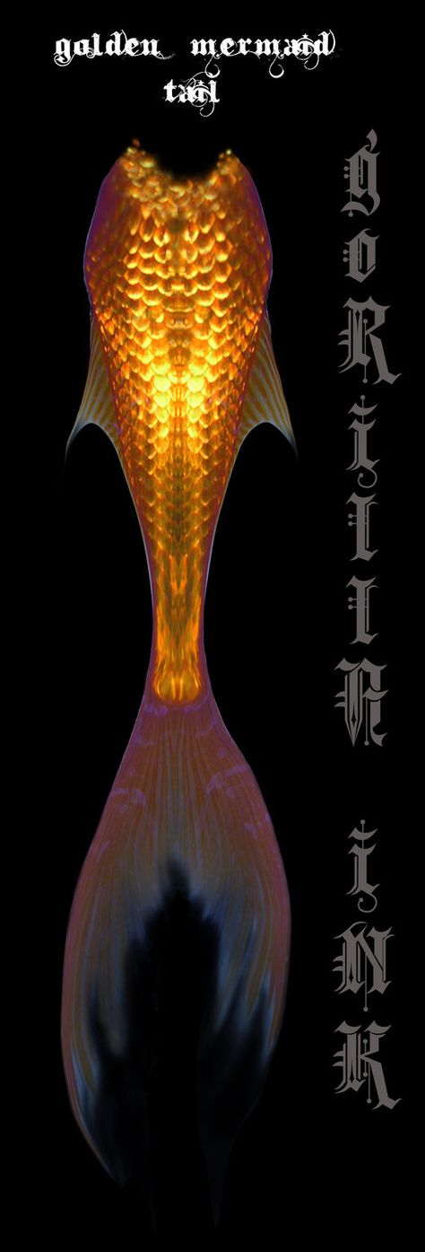 golden mermaid tail Golden Mermaid Tail, Mermaid Castle, Golden Mermaid, Wacom Cintiq, Mermaid Tails, Mermaid Tail, Reference Images, Sirens, Little Mermaid