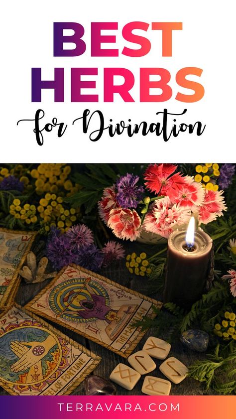 Herbs for divination. Herbal Witch, Magickal Herbs, Plant Magic, Tarot Card Spreads, Magic Herbs, Tarot Meanings, Magical Herbs, Wiccan Spell Book, Mental State