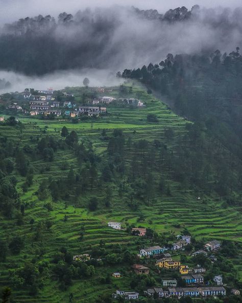 Science And Nature Books, Nature Bookmarks, Village Photography, Green Photo, Hill Station, Tibetan Buddhism, Scenic Beauty, India Travel, The Nature