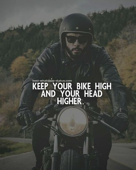 Bike Life! #bikelife #harleylife #justride #ftw #dkcustom #stockbikessuck #harleydavidson #motorcycles #justride #riding #road #time #lifebehindbars #ftw #rideordie #idratherberiding #livefree #ridefree #nofear #noregrets Bike Captions Instagram, Cool Whatsapp Status, Bike Ride Quotes, Prison Quotes, Rider Quotes, Bike Status, Johnny Depp Quotes, Riding Quotes, Bike Quotes