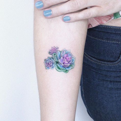 Kozo_tattoo on Instagram: “succulents ✨” Small Succulent Tattoo, Kozo Tattoo, Succulent Tattoo, Girl Back Tattoos, Mother Daughter Tattoos, Knee Tattoo, Up Tattoos, Tattoos For Daughters, Friend Tattoos