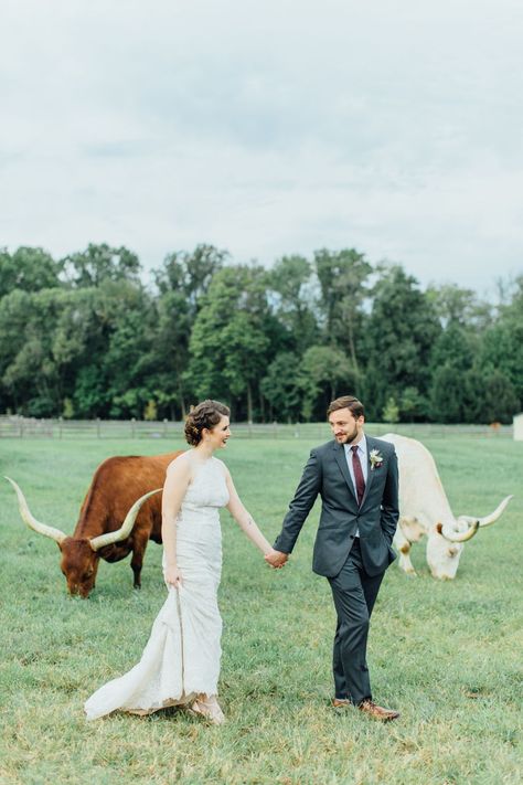 Longhorn Wedding, Field Wedding Photos, Viola Photography, Hay Bale Wedding, Wedding Photos Unique, Wedding Photos Bride And Groom, Wedding Photos Bride, Wedding Venues Pennsylvania, Iron Stone