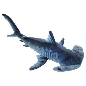 Blue Printed Hammerhead Shark Plush Toy 24 L * Have a look at the photo by visiting the link. (This is an affiliate link). #funkolove Shark Stuffed Animal, Shark Tale, Shark Plush, Cute Shark, Hammerhead Shark, Planet Blue, Shark Week, White Sharks, Whale Shark