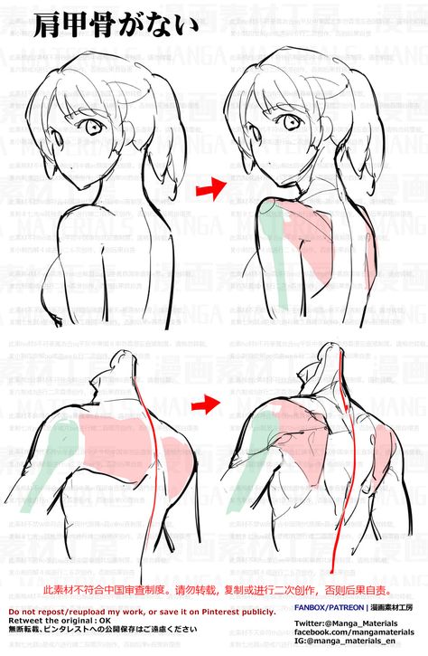 Anime Anatomy, Female Anatomy Reference, Figure Studies, Anatomy Tutorial, Human Anatomy Drawing, Body Drawing Tutorial, Human Anatomy Art, Female Reference, Anatomy Sketches