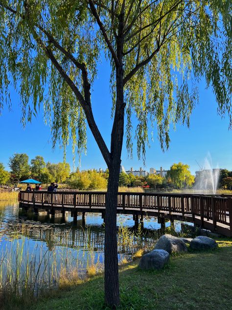 #Hanbat Arboretum 한밭수목원 #Hanbat Arboretum # 한밭수목원 #aesthetically pleasing #photography #aestheitcs #korea travel #south korea #beautiful photos #korea #photoart #photooftheday #instadaily #daejeon travel #daejeon #daejeon city Daejeon Aesthetic, Daegu South Korea Aesthetic, South Korea Scenery, Seoul Scenery, Daejeon South Korea, Vision Ideas, Travel South Korea, Daegu South Korea, Daejeon