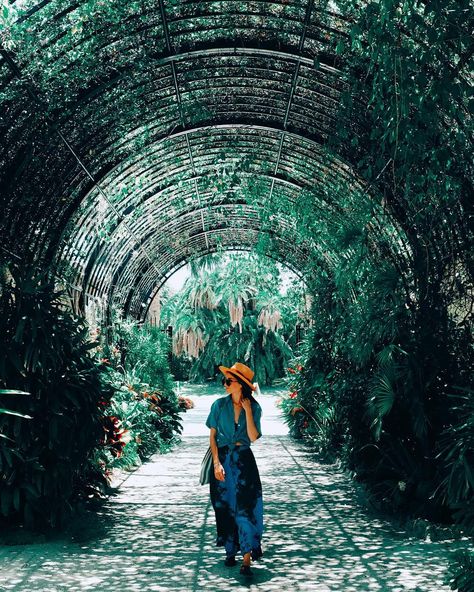 Garden In Florida, Brick Patterns Patio, Florida Adventures, Miami Travel, Places In Florida, Miami Gardens, Meteor Garden 2018, Down The Rabbit Hole, Whimsical Wonderland