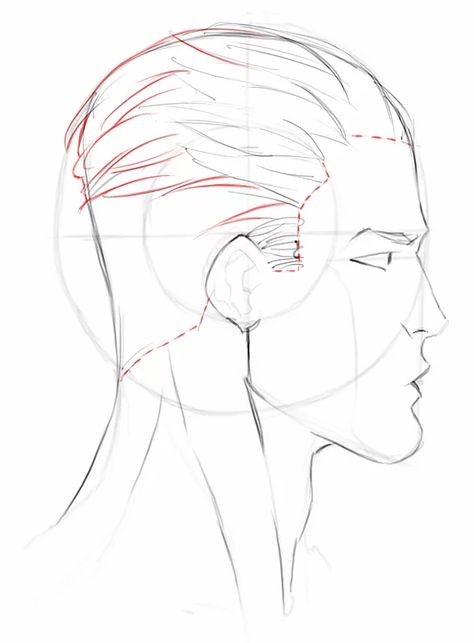 Head. Side view. Men Side Profile Drawing Reference, Face Profile Drawing, Side Face Drawing, Head Step By Step, Male Face Drawing, Side View Drawing, Anime Face Drawing, Male Profile, Profile Drawing