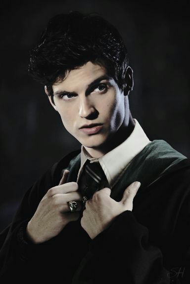 Theo Nott, Harry Potter Rpg, Theodore Nott, Maxon Schreave, Harry Potter Oc, Slytherin Pride, Daniel Sharman, Teen Wolf Dylan