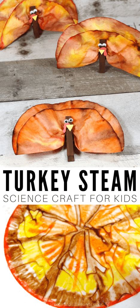 Coffee Filter Turkey, Turkey Science, Thanksgiving Science, Craft For Thanksgiving, Turkey Coffee, Thanksgiving Art Projects, Preschool Thanksgiving, Holiday Stem, Thanksgiving Turkeys