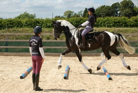 Training available on site by qualified instructors www.lynehouselivery.co.uk polework Horse Trotting, Equestrian Flat Work Exercises, Horse Riding Show Jumping, Horse Riding Instructor, Sso Dressage Moves, Horse Trotting With Rider, Horse Exercises, English Horse, Eventing Horses