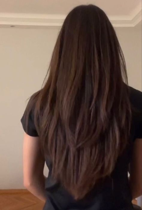 Long Layers Pin Straight Hair, Layer V Haircut, Layers For Pin Straight Hair, Long Layered Haircuts Asian Hair, Long Layers Asian Hair Straight, Pin Straight Layered Hair, Vcut Haircut Girl, V Haircut Short Hair, V Layers Long Hair