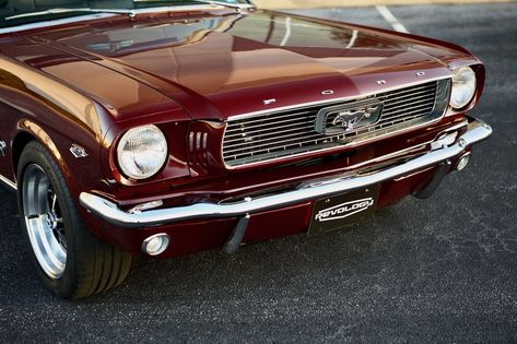 This is a 1966 Mustang Convertible in Vintage Burgundy Metallic. It has Black Nappa leather interior. This car has 17x8 Magnum 500 wheels. It features a 460hp Ford 5.0L Ti-VCT Coyote DOHC V8 engine and a 10R80 10-speed electronically controlled automatic transmission. #mustang #shelby #classicmustang #classicshelby #carinspiration 1969 Cherry Red Mustang, Burgundy Mustang, Mustang Red Interior, Cherry Red Mustang, Mustang Aesthetic, Burgundy Car, 1966 Mustang Gt, Red Thoughts, Ford Mustang 1968