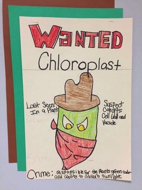 Teaching . . . Seriously: Organelle Trail - Make learning about cells and organelles fun with these wanted posters. Teaching Cells, Apologia Biology, Biology Activity, Cell Theory, Science Cells, Cell Organelles, 7th Grade Science, Cells Activity, 4th Grade Science