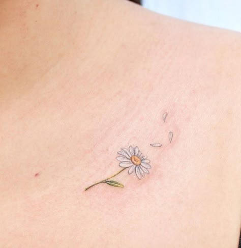 Daisy Losing Petals Tattoo, Daisy And Dandelion Tattoo, Rainbow Daisy Tattoo, White Ink Daisy Tattoo, Daisy Chest Tattoo, Daisy Collar Bone Tattoo, Tattoo Daisy Flower, Petal Tattoos, Fine Line Daisy Tattoo