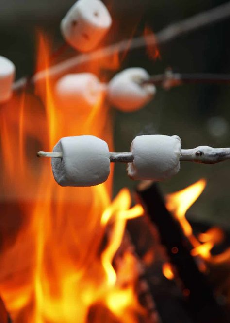 Camping Checklist Family, Campfire Marshmallows, Camping Photo, Camping Photography, Camping Aesthetic, Activities For Adults, Camping Checklist, Toasted Marshmallow, Camping Supplies