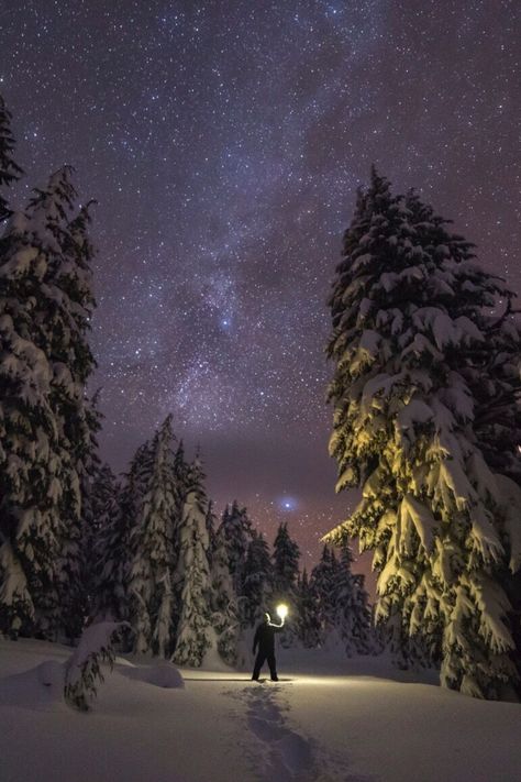 Snowy Woods Night, Winter Forest Night, Cabin Activities, Snow At Night, Couple Photography Winter, Aesthetic Lover, Axis Mundi, Alaska Pictures, Winter Hygge