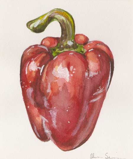 Red Bell Pepper, by Alicia Severson. Original watercolor painting. Vegetable Painting, Watercolor Food, Watercolor Fruit, Food Painting, Watercolor Paintings Easy, Fruit Painting, 수채화 그림, Watercolor Art Lessons, Painting Lessons