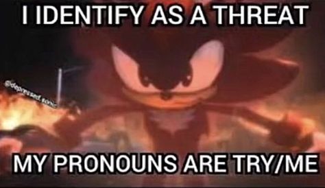 My Pronouns, This Meme, Try Me, Silly Images, Very Funny Pictures, Funny Reaction Pictures, Internet Funny, What’s Going On, Really Funny Pictures