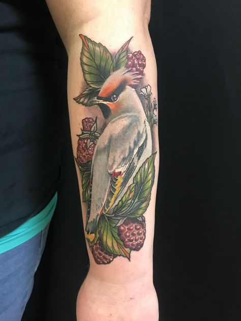 My Bohemian Waxwing Waxwing Tattoo, Waxwing Bird, Bohemian Waxwing, R Tattoo, Bird Tattoo, Professional Tattoo, Birds Tattoo, Tattoos Ideas, Tattoo Inspo