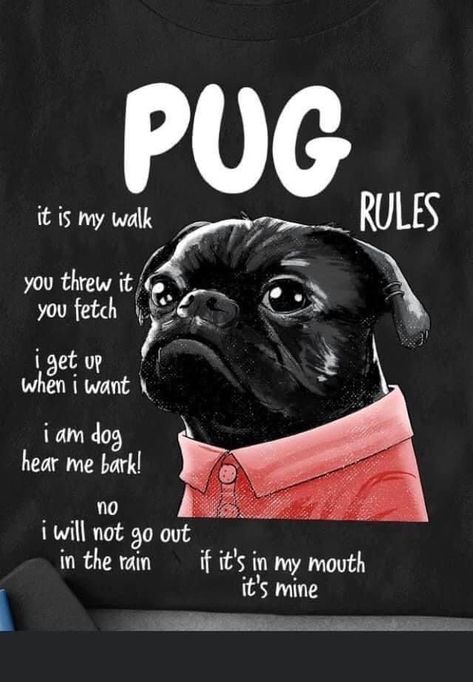 Pugs Drawing, Pug Training, Funny Pug Pictures, Pug Quotes, Pug Breed, Black Pugs, Pet Pug, Pug Photos, Black Pug Puppies