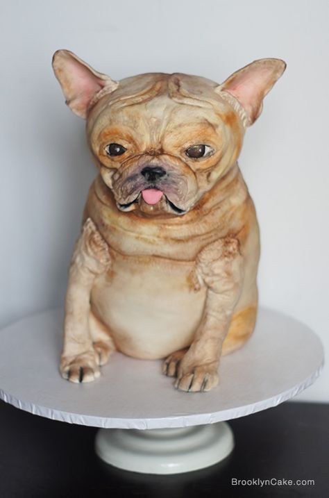 French Bulldog Cake, Bulldog Cake, Leopard Print Cake, French Macaroons, 3d Cakes, Granddaughter Birthday, Cakes And More, Shih Tzu, Amazing Cakes