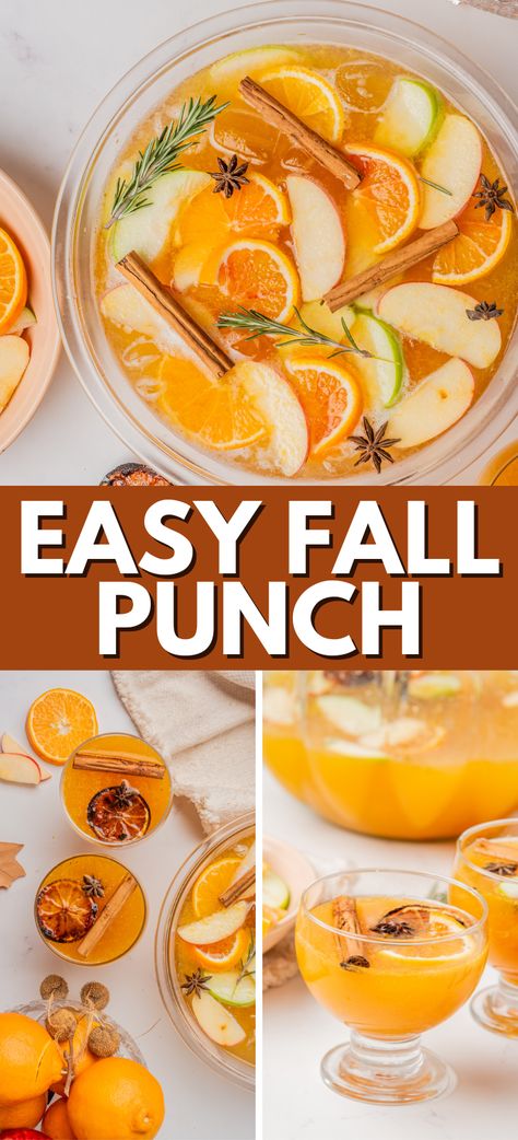 Fall Harvest Punch – is an aromatic Thanksgiving punch that uses all the fall goodies – ginger beer, oranges, apples, apple cider, anise pods, cinnamon sticks and more. Easy fall cocktail recipe, perfect for a large crowd. Harvest Punch Non Alcoholic, Punch Thanksgiving, Harvest Punch, Fall Punch Recipes, Fall Punch, Best Disneyland Food, Autumn Favorites, Thanksgiving Punch, Apple Cider Punch