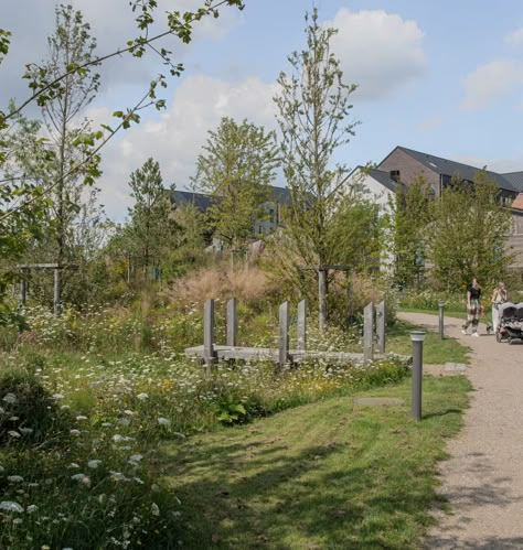 Søndervold Nature Park — SLA Green Roof Garden, Pocket Park, Community Park, Urban Park, Natural Park, Replant, Forest Park, Wild Nature, Natural Garden